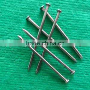 Galvanized Carbon Steel Iron Nail (manufacturers) thumbnail-1