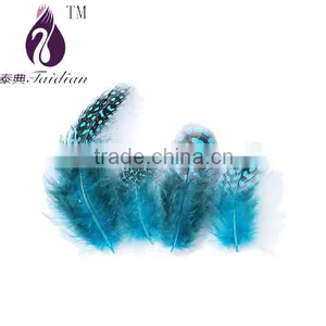 Natural Pearl Chicken Feathers,guinea Fowl Feather Trim Quality Choice thumbnail-4