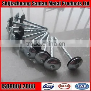 Common Round Nail Wire Iron Nail thumbnail-1