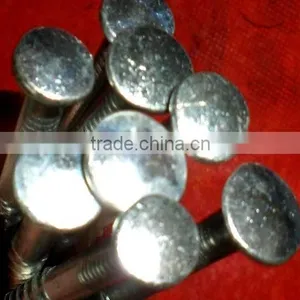 Ethiopia Market Good Quanlity Galvanized Twisted Nails thumbnail-1