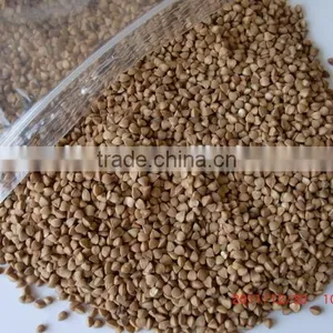 Chinese Roasted Buckwheat Kernel to GEORGIA AND RUSSIAN thumbnail-3