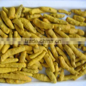 Turmeric Finger thumbnail-1