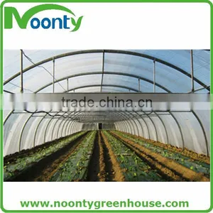 Economical Tunnel Greenhouse thumbnail-4