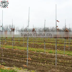 High Strength Flexible Durable Professional Manufacturer Fiberglass Rod In Good Quality From Guangzhou Factory thumbnail-1
