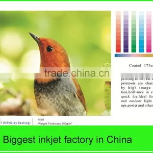 China Shanghai Factory Price Photoshop Printing Media Indoor and Outdoor Digital Inkjet Composite Media thumbnail-2