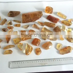 Colombian Amber (Copal) - Polished With Insects thumbnail-1