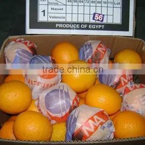 Fresh Valencia Orange thumbnail-2