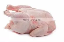 FROZEN CHICKEN thumbnail-4