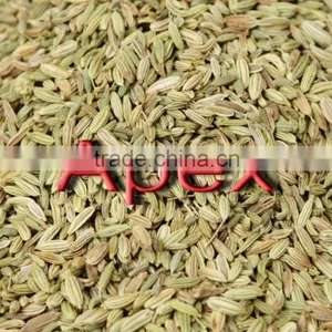 Apex Supplies Quality Foeniculum Vulgare Fennel / Foeniculum Vulgare / Fennel Seeds / Saunf thumbnail-1