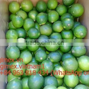 2015 New Fresh Lemon Vietnam thumbnail-2