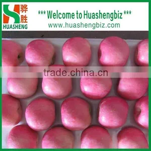2016 Freshest Crop Fresh Fuji Apple thumbnail-3