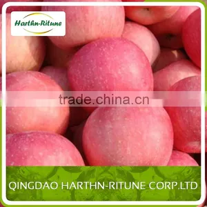 Best Quality Fres Apple for 2016 Fuji Apple at Cheap Prices thumbnail-5