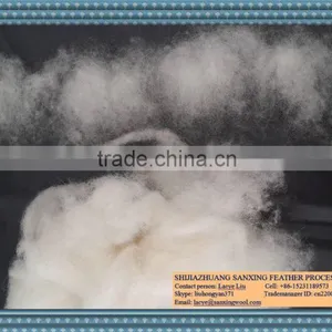 Chinese Best Quality of Sheep Wool Combing 20.5mic,40-50mm Raw White Color,substitute of Carbonized Wool thumbnail-1