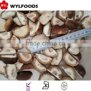 Machines for Frozen IQF Shiitake Mushroom China Brands thumbnail-1