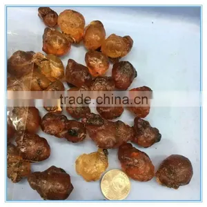 Rosined Peach Gum Resin thumbnail-4