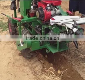 High Performance 2Cm Series Potato Planter/potato Seeder/Potato Plant Growth Regulator thumbnail-5