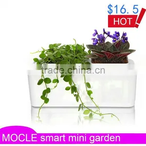 Shoe Flower Vase thumbnail-1