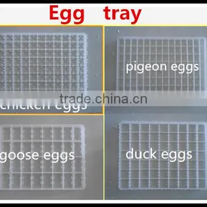 Incubator Supplier Egg Incubator Spare Parts Incubator Egg Trays for Sale thumbnail-2