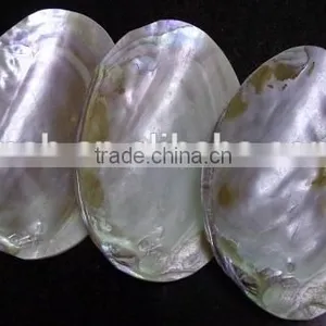 Wholesale Chinese Polished Raw River Shell thumbnail-3