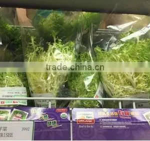 Automatic Pillow Water Convolvulus Vegetable Packing Machine thumbnail-6