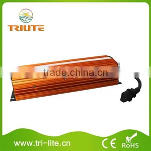 Euro 600W Dimmable Non Fan-cooled Hid Lighting Ballast thumbnail-1