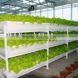 Hydroponic Greenhouse For Vegetable thumbnail-2