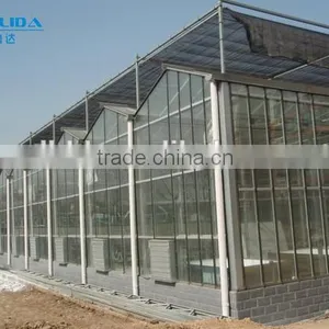 Hydroponic Systems Greenhouse thumbnail-3