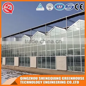 8mm Glass Greenhouse and Hot Dip Galvanized Frame for Sale thumbnail-4
