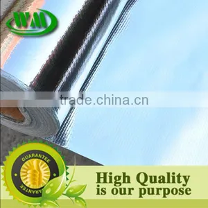 High Quality Agricultural Reflective Silver Mulch Film thumbnail-1
