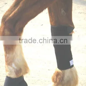 Horse Boots thumbnail-1
