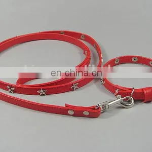 Outdoor Retractable Pet Dog Leash With Custom Logo thumbnail-1