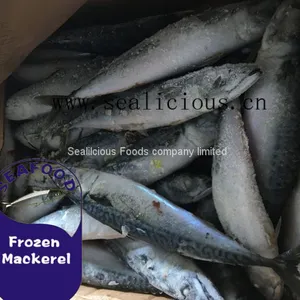 Most Favorable SeaFrozen Pacific Mackerel From China thumbnail-1