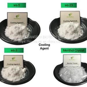 Kolada Ws-27 High Quality Cooling Feeling Coolant Use in Vape Liquid thumbnail-5