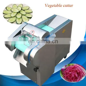 CE Approved Stainless Steel Electrical Vegetable Cutter Machine / Vegetable Cutting Machine / Leaf Vegetable Cutting Machine thumbnail-4