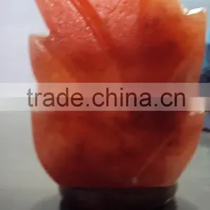 Himalayan Salt Fancy Lamps Leaf Design thumbnail-1