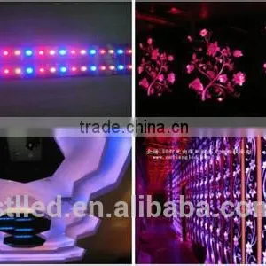 Star Product 5V 5050 Smd Ws2811 Magic Digital Dream Color Rgb Led Strip Light thumbnail-2