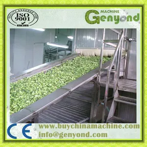 China Frozen Vegetable Production Line/Green Peas Quick Freezing Processing Machine thumbnail-3