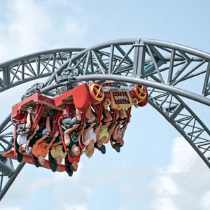 Roller Coaster Guide Wheels for Amusement Park Equipment Components thumbnail-2