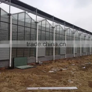 TH Centrifugal Double Shutter Exhaust Fan for Greenhouse and Poultry thumbnail-5