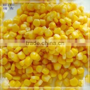 Canned Sweet Corn in Brine in Tins 425g thumbnail-1