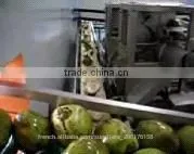 Coconut Halving and Juicing Machine thumbnail-2
