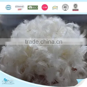 2-4cm Washed White Goose Feather thumbnail-1