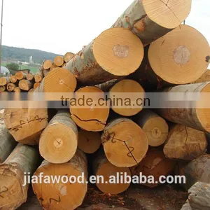 FSC Beech Logs thumbnail-3