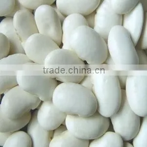 Chinese Large White Kidney Beans for Sale thumbnail-4