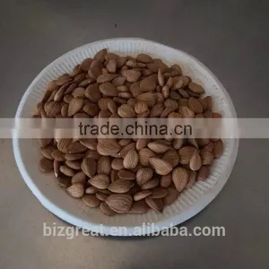 Supply With Chinese Bulk Sweet Apricot Kernels With 8% Bitter Taste With Good Quality for Sales thumbnail-3