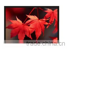 Wall Mounted Frame Projection Screen With Aluminum Cover Case thumbnail-1