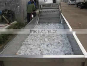 Apple Grading Machine thumbnail-1
