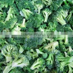 IQF Broccoli, Frozen Broccoli, Frozen Vegetables thumbnail-2