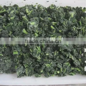 IQF Chopped Spinach Cuts thumbnail-1