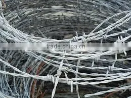 High Quality Barbed Wire thumbnail-6